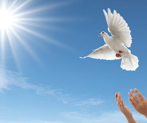 Free to be