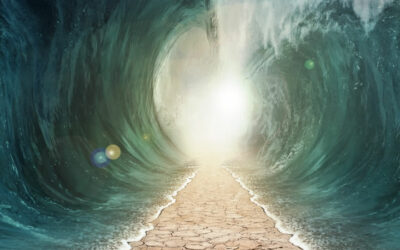 Exodus the way out