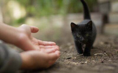 Hands held out 